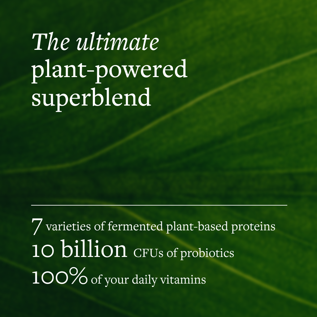 CLEAN Daily Shake Superblend Probiotic Protein Powder